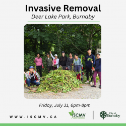 Invasive Removal - Deer Lake - July 2026 photo