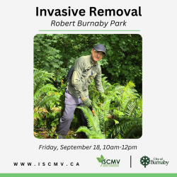 Invasive Removal - Robert Burnaby Park - September 2026 photo